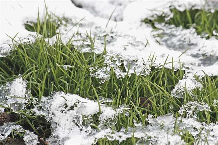 Is It Better To Leave Your Lawn Long Or Short For Winter Cleanr Property Maintenance